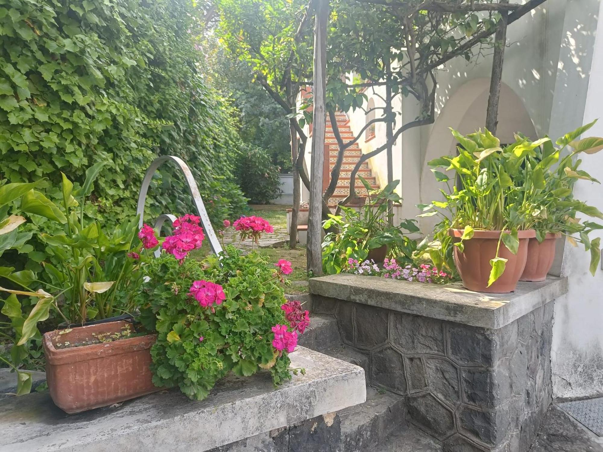 Casa Olivella Appartement Torre del Greco Buitenkant foto